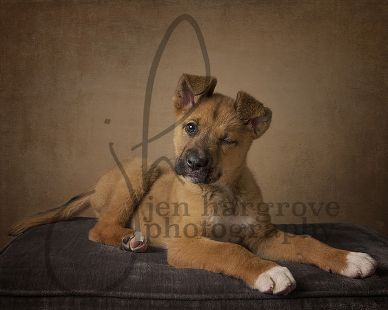 Cooper1