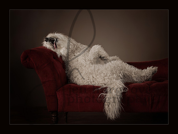 Draw Me Like One of Your French Girls