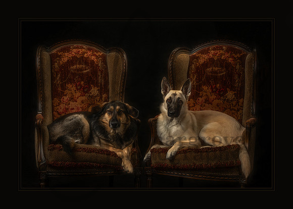 Sisters From Another Mister