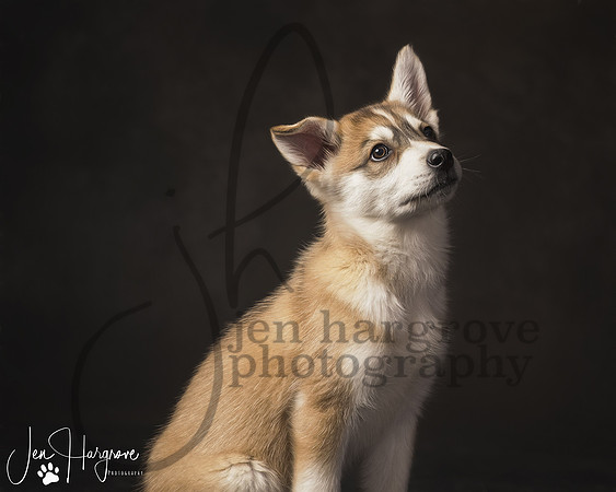Koda2P