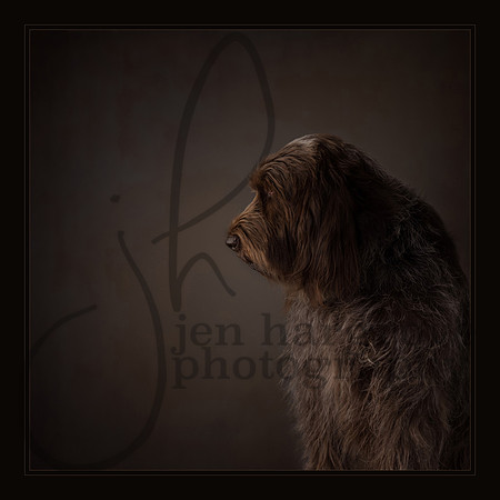 Best Of Show