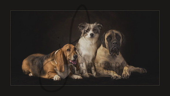 Family Portrait