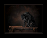 Please Don't Leave