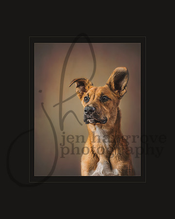 I'm All Ears