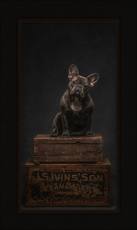 Do These Boxes Make My Ears Look Big?