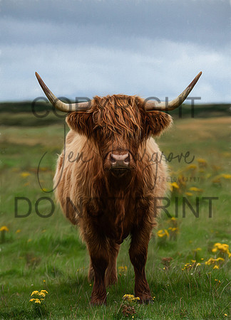 Highland5P