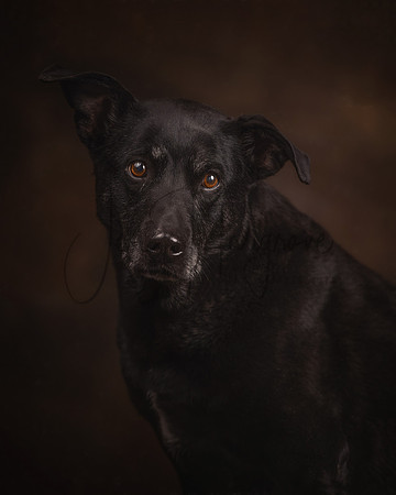 Riley1P