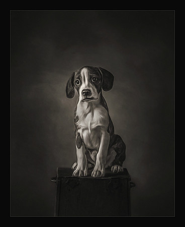 I'll Be A Good Boy
