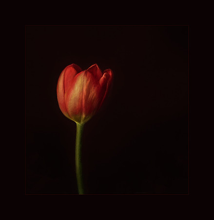 Simplicity of Spring