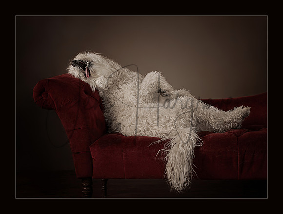 Draw Me Like One of Your French Girls