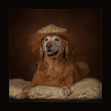 All Dressed In Her Sunday Best