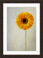 Radiate Sunshine Rustic 6121 24 x 36-2