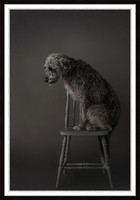 Time Out Modern 1101 30 x 45-2