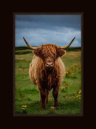Highland in the Low Lands