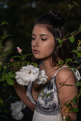 DSC_6817
